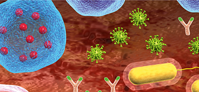 Immunsystemet, dekorativ bild
