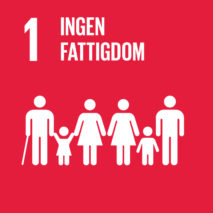 Globala målen - ingen fattigdom