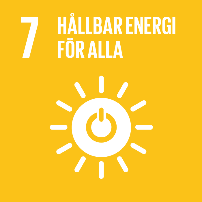 Globala målen - hållbar energi för alla