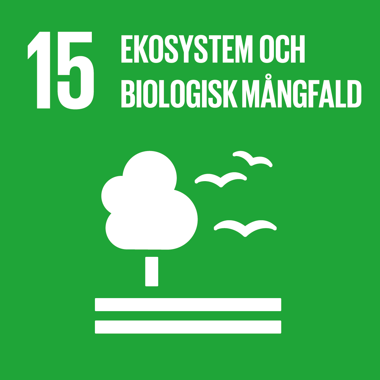 Ikon för Globala målen 15 - Ekosystem och biologisk mångfald